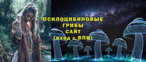 spice Вязники