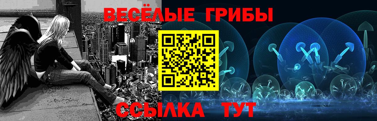 Галлюциногенные грибы ЛСД Можга