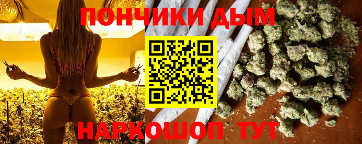 Марихуана Bruce Banner  Каннабис гибрид  Канабис конопля  Бошки Шишки Ganja  Можга 